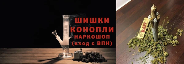 PSILOCYBIN Арсеньев