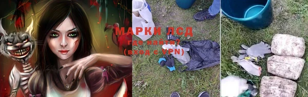 PSILOCYBIN Арсеньев