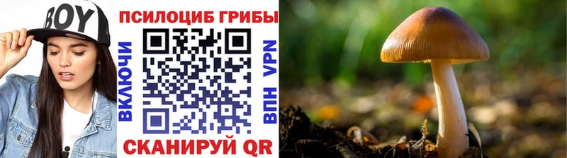 Галлюциногенные грибы Cubensis Октябрьский